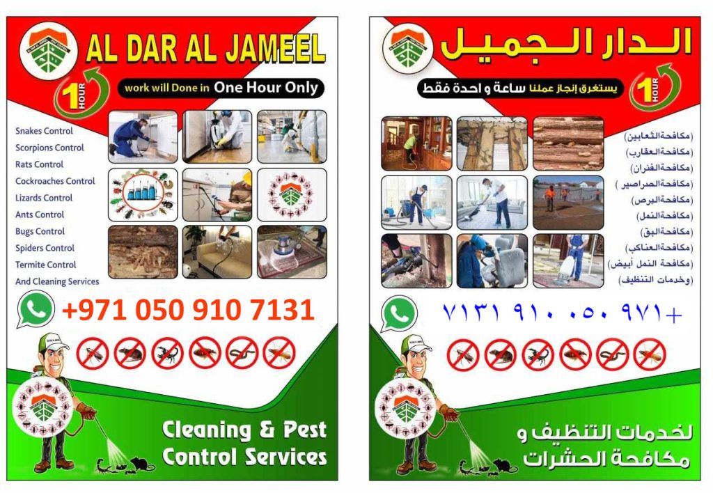 Best Cleaning and pest control company in ras al khaimah